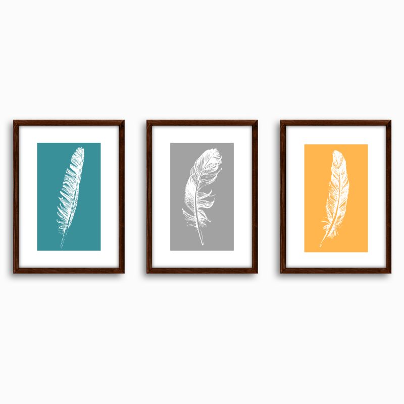 Stylish grey feathers