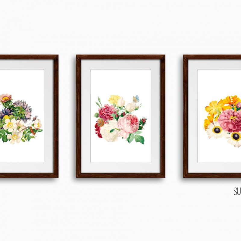 Botanical Floral Art Print Set, Set of 3 Wall Decor Art Prints, Sketched Wall Art for Living Room / Bathroom / Study