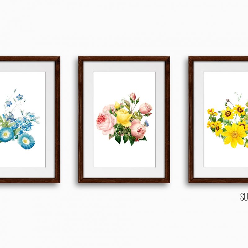 Botanical Floral Art Print Set, Set of 3 Wall Decor Art Prints, Sketched Wall Art for Living Room / Bathroom / Study