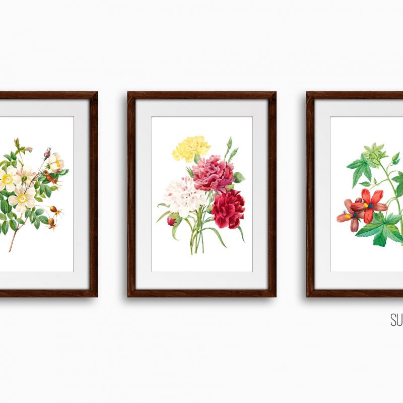 Botanical Floral Art Print Set, Set of 3 Wall Decor Art Prints, Sketched Wall Art for Living Room / Bathroom / Study