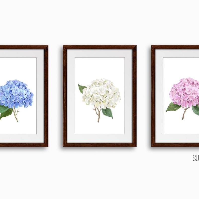 Botanical Floral Art Print Set, Set of 3 Wall Decor Art Prints, Sketched Wall Art for Living Room / Bathroom / Study