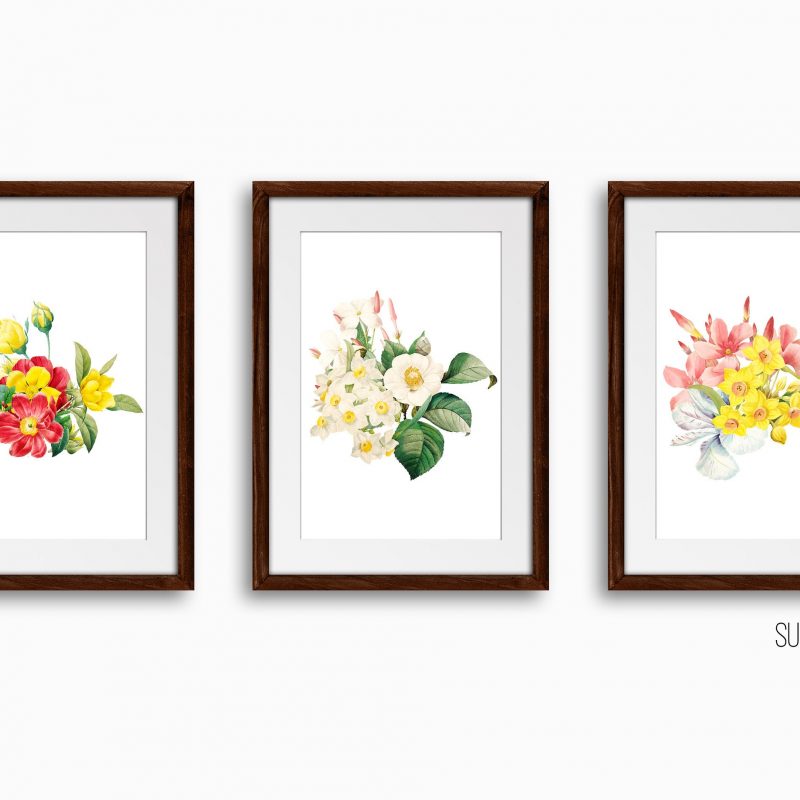 Botanical Floral Art Print Set, Set of 3 Wall Decor Art Prints, Sketched Wall Art for Living Room / Bathroom / Study