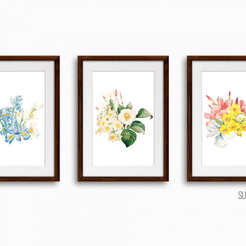 Botanical Floral Art Print Set, Set of 3 Wall Decor Art Prints, Sketched Wall Art for Living Room / Bathroom / Study