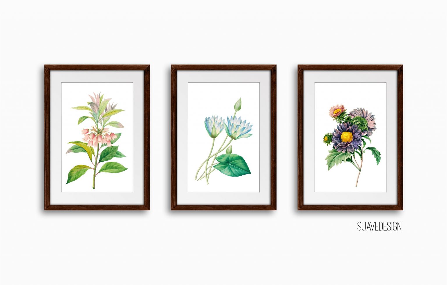 Botanical Floral Art Print Set, Set of 3 Wall Decor Art Prints ...
