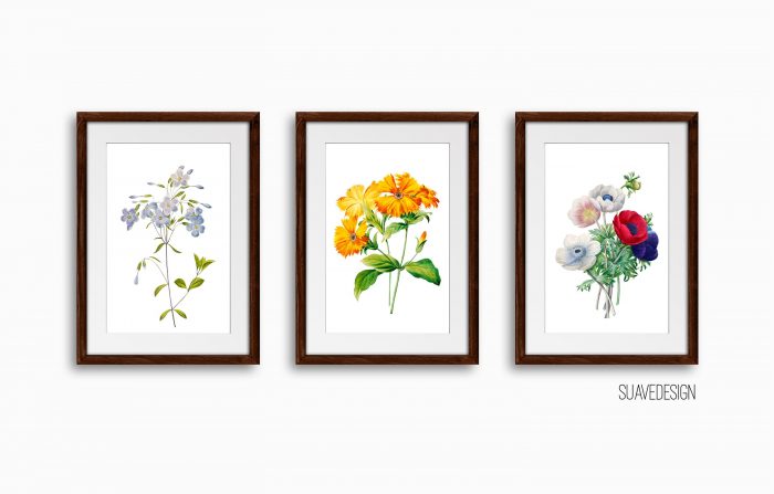 Botanical Floral Art Print Set, Set of 3 Wall Decor Art Prints ...