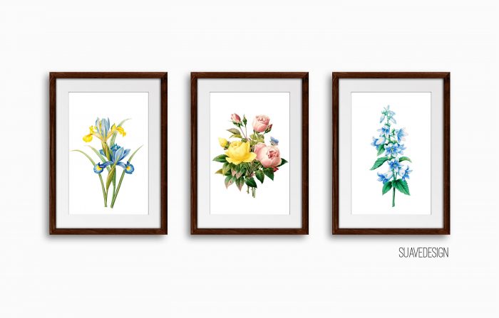 Botanical Floral Art Print Set, Set of 3 Wall Decor Art Prints ...