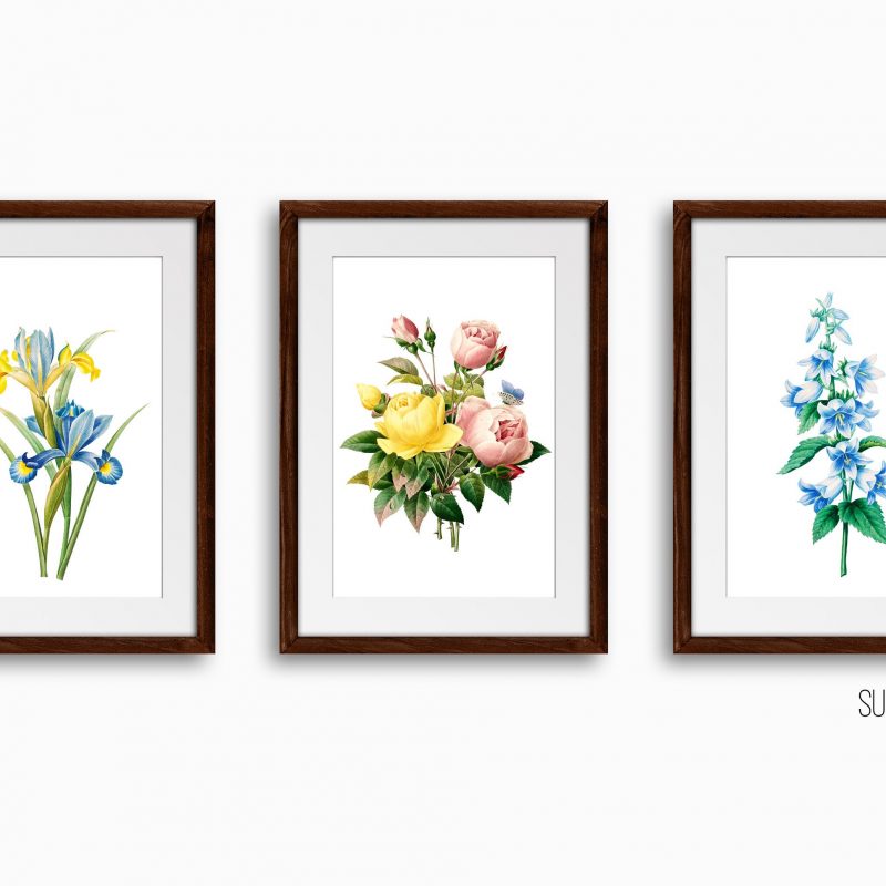 Botanical Floral Art Print Set, Set of 3 Wall Decor Art Prints, Sketched Wall Art for Living Room / Bathroom / Study