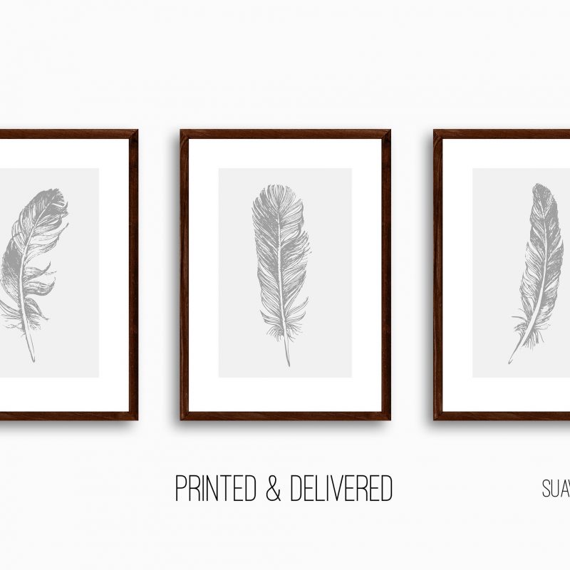 Grey Feathers Print Set, Feather Wall Art, Set of 3 Wall Decor Art Prints, Living Room, Sketched Wall Art