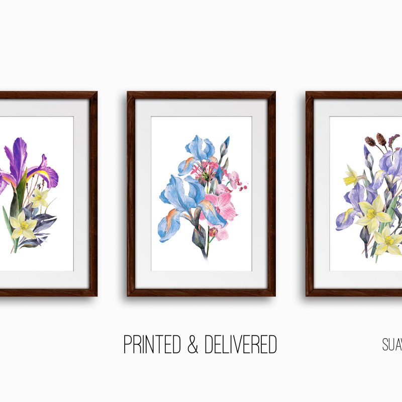 Botanical Floral Art Print Set, Set of 3 Wall Decor Art Prints, Sketched Wall Art for Living Room / Bathroom / Study