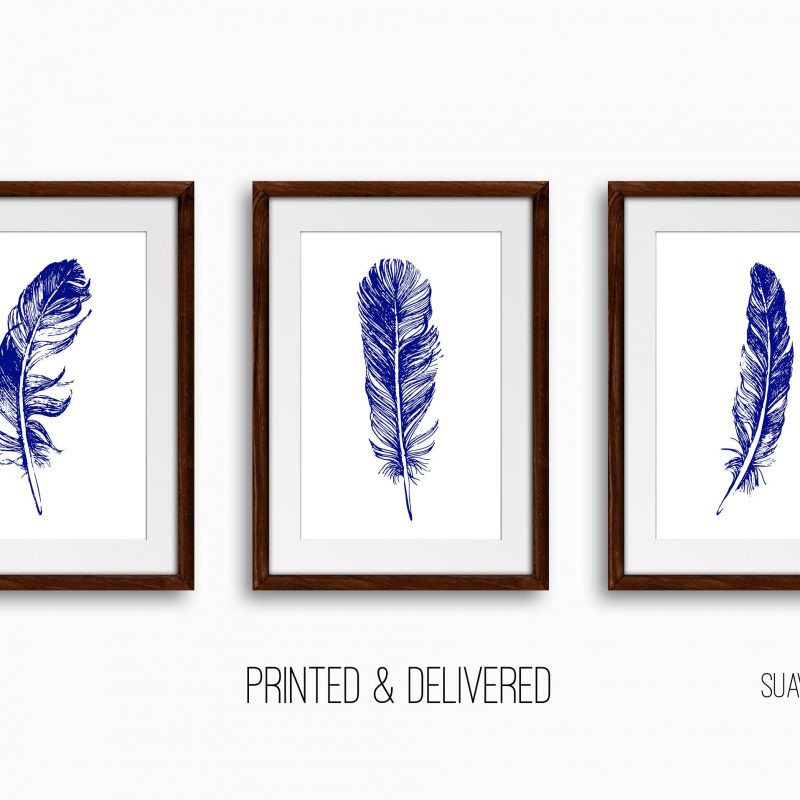 Grey Feathers Print Set, Royal Blue Feather Wall Art, Set of 3 Wall Decor Art Prints, Living Room, Sketched Wall Art