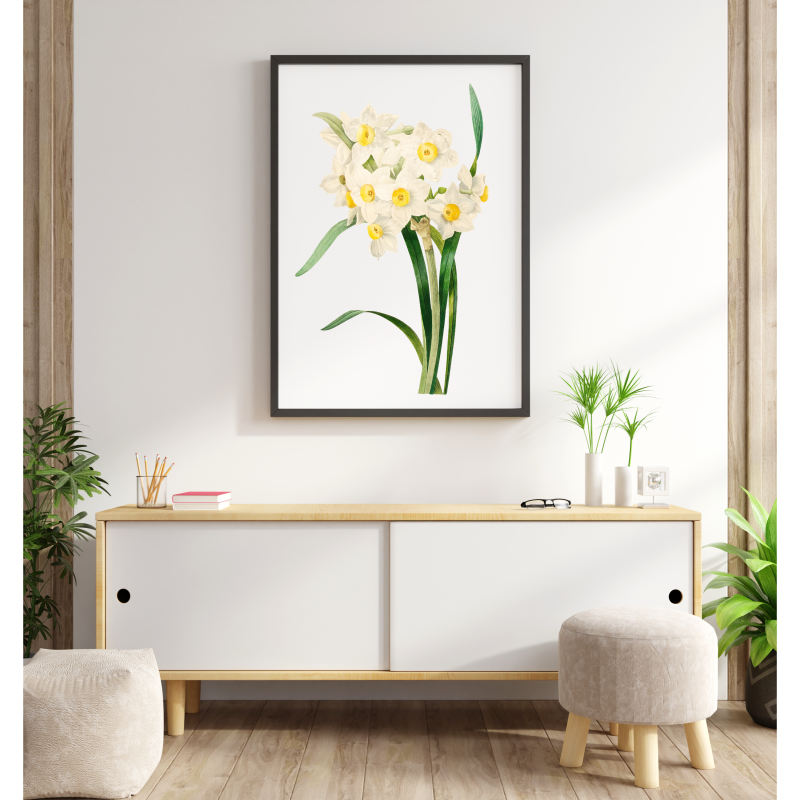 Spring flowers - daffodils